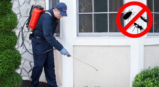 Yalova Dezenfeksiyon böcek ilaçlama ve haşere kontrolü — ilaclama-tr.com